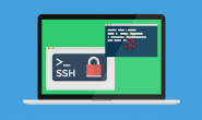 免费的 XShell 替代品,一款国产良心工具!附带下载