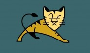 用 java 写一个迷你版的 Tomcat