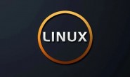 桌面版 Linux 为什么干不过 Windows？Linus 现身说法..