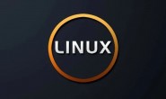 桌面版 Linux 为什么干不过 Windows?Linus 现身说法..
