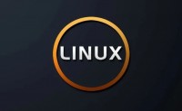 桌面版 Linux 为什么干不过 Windows？Linus 现身说法..
