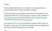 ChatGPT收到”We have determined that you or a member of your organization are using the OpenAI API …“邮件信息,原因及解决?