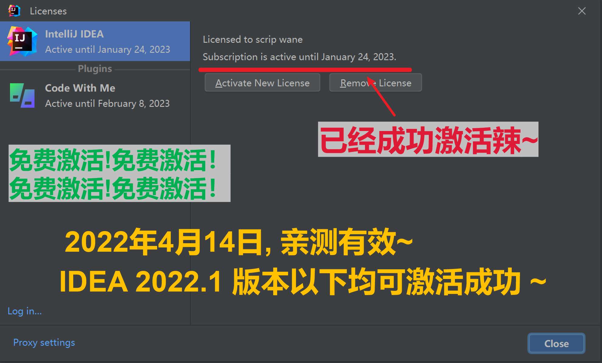 IDEA 2022.1 成功激活至9999年截图1